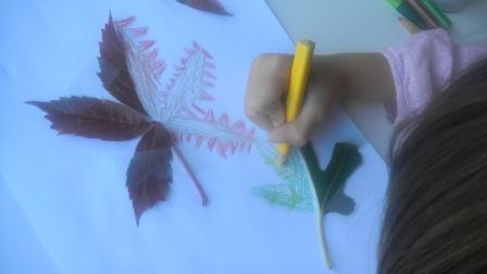 Feuilles automne Feuilles automne