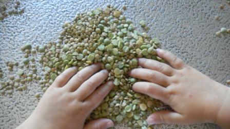 Jeu lentilles Jeu lentilles