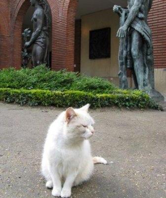 chat musée bourdelle