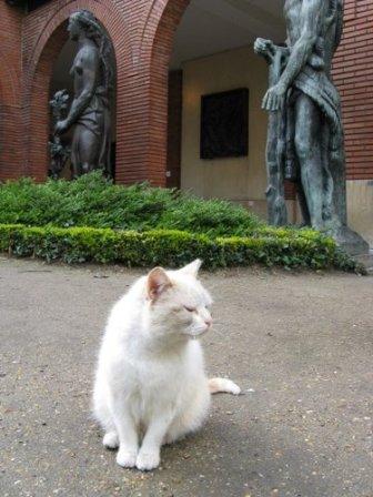 chat musée bourdelle chat musée bourdelle