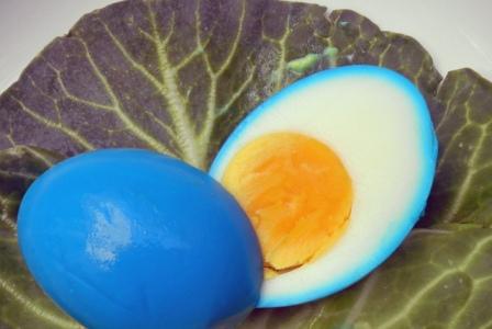 oeuf bleu oeuf bleu