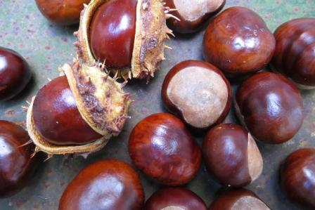 marrons