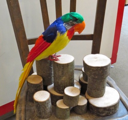 perroquet