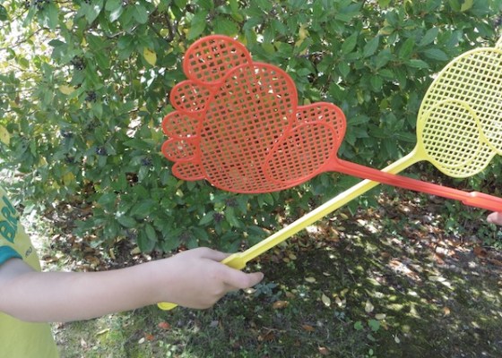 tapette à mouche combat