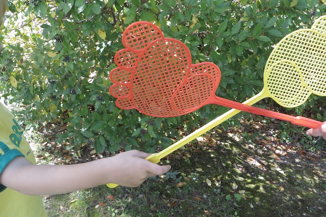 tapette à mouche combat