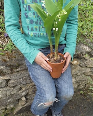 pot muguet