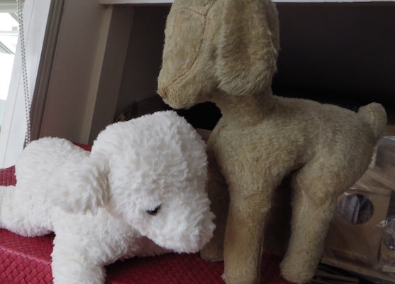 deux peluches mouton