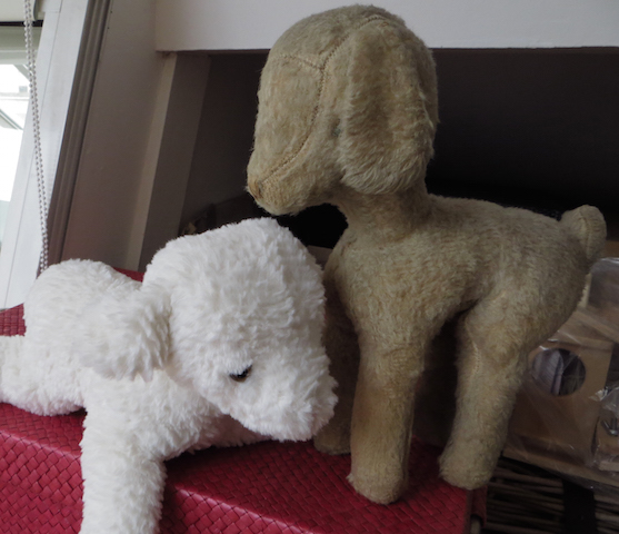 deux peluches mouton