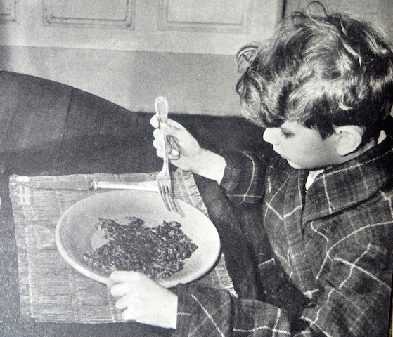 page livre andre maurois nico