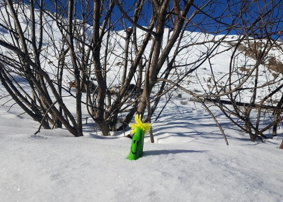 monsieur farine neige