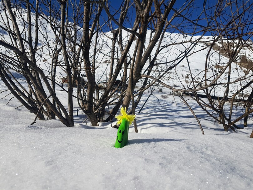 monsieur farine neige