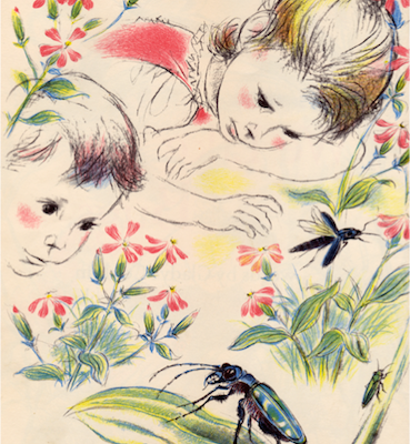 étude des insectes